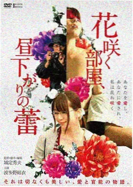 沉默的调色板 影片海报